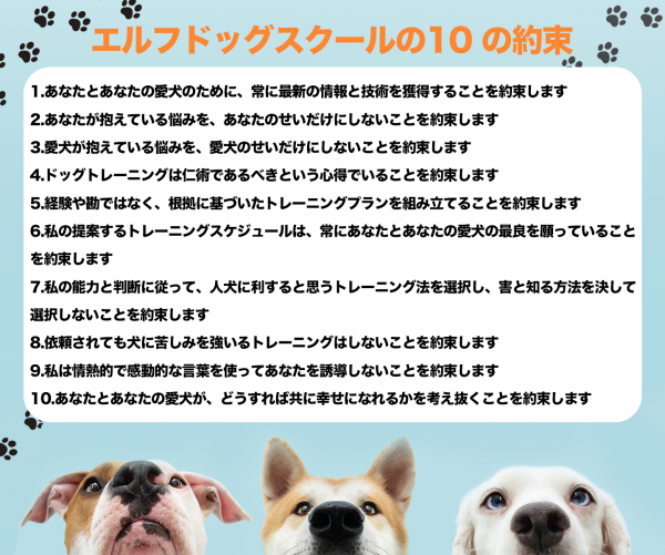 ペット共生型マンション増えましたね♫【愛犬の問題行動専門ドッグトレーナー】エルフドッグスクールサムネイル